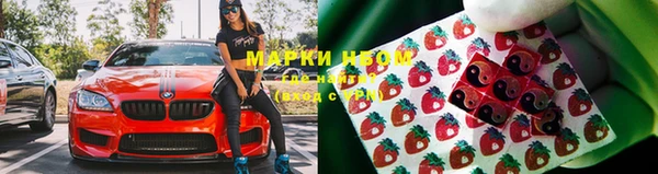 дживик Богородск