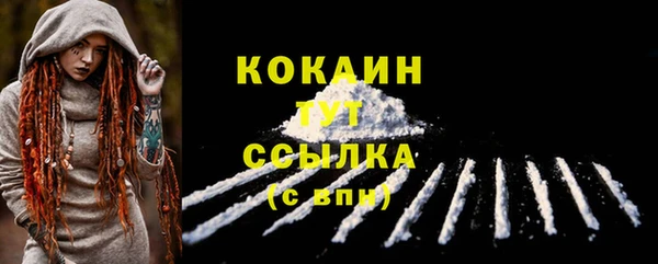 дживик Богородск