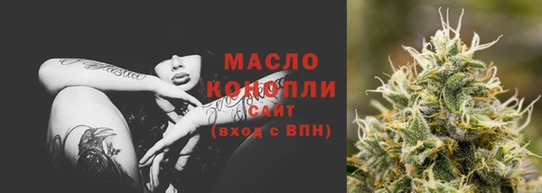 дживик Богородск