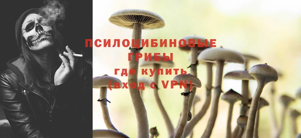 дживик Богородск