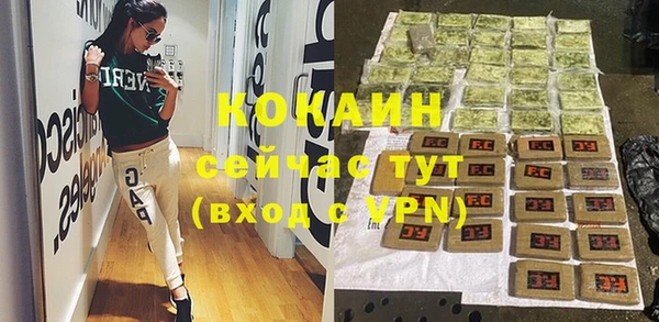 спиды Богданович