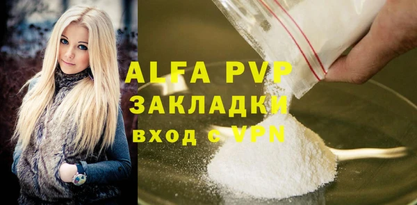 спиды Богданович