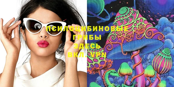 Альфа ПВП Богородицк