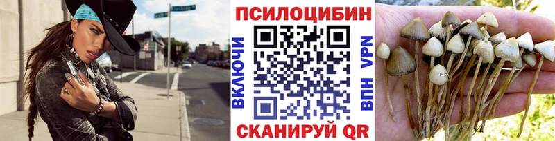Галлюциногенные грибы ЛСД  Купить закладки  Николаевск-на-Амуре 